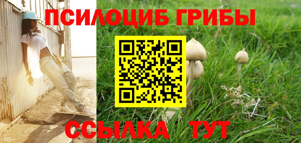 Галлюциногенные грибы Psilocybine cubensis  Вход с VPN  Дятьково 